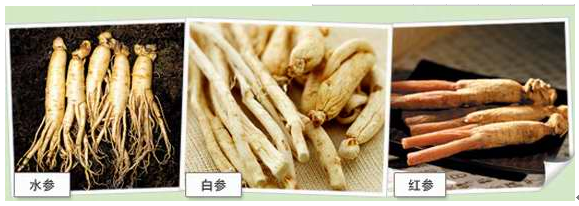 韩国专区展商展品推荐