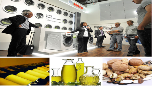 “尽揽全球，盛聚义乌” 义乌进口商品博览会诚邀您赴会采购！